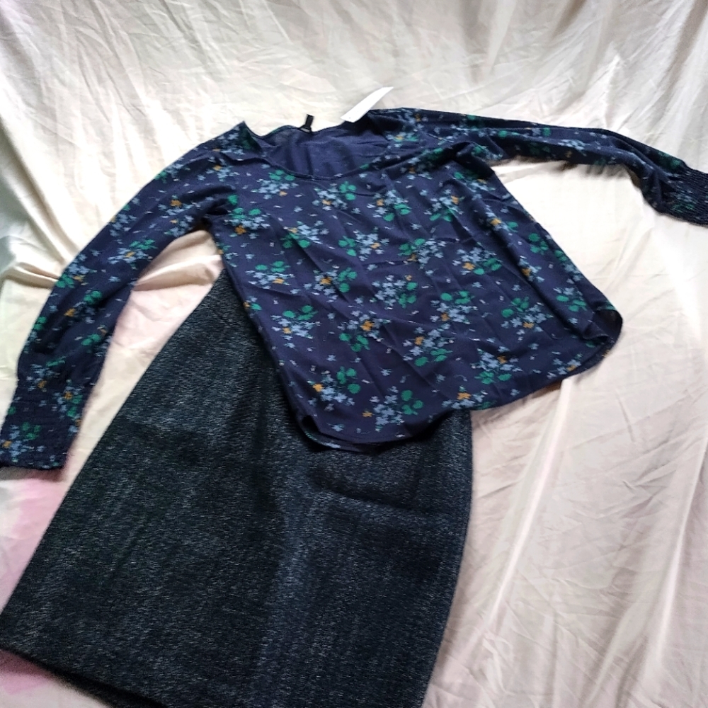 Ann Taylor skirt and blouse